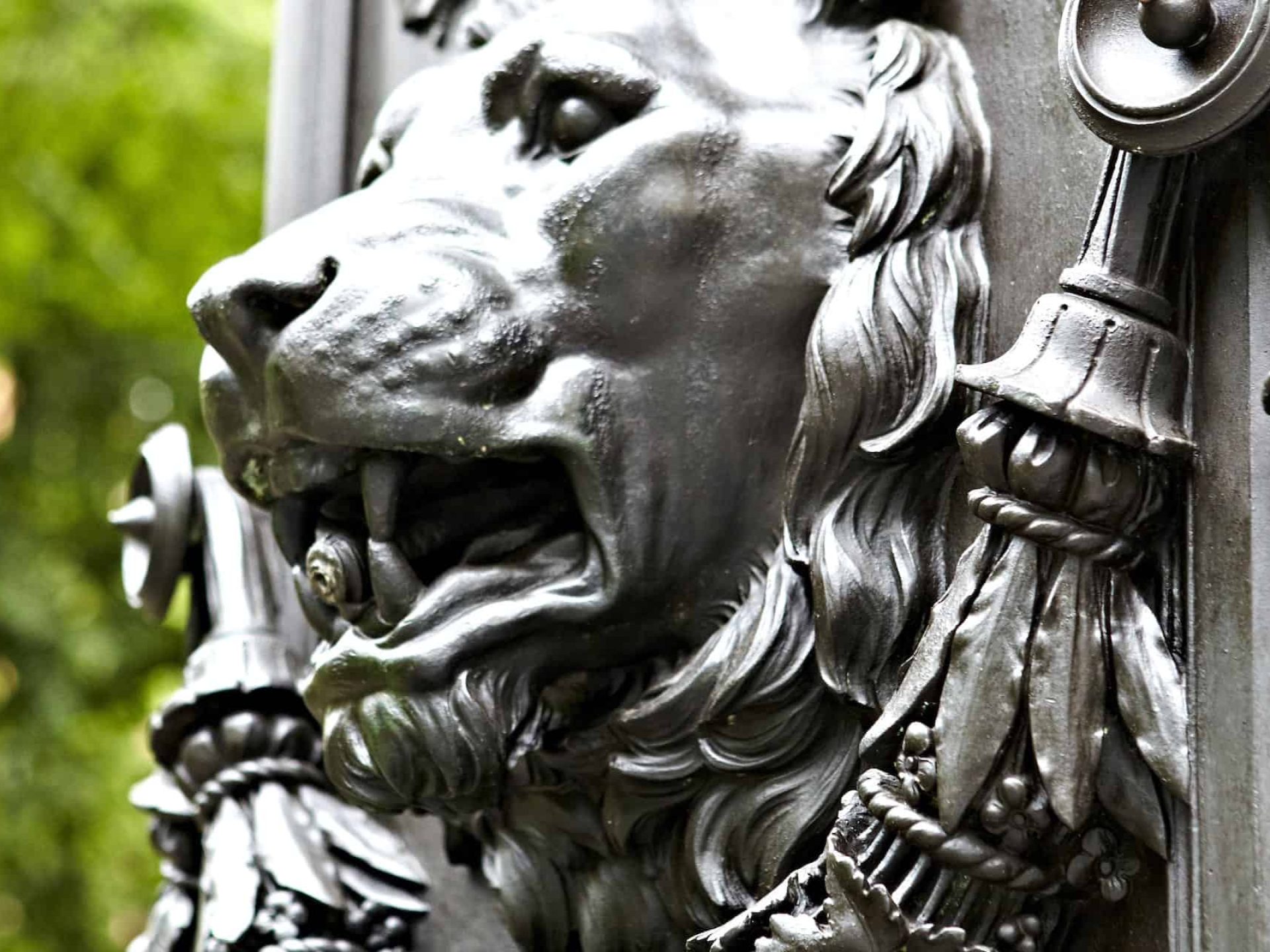 Close up of a metal casted lions head with a water spout in its mouth and casted metal tassels with leaves on either side.