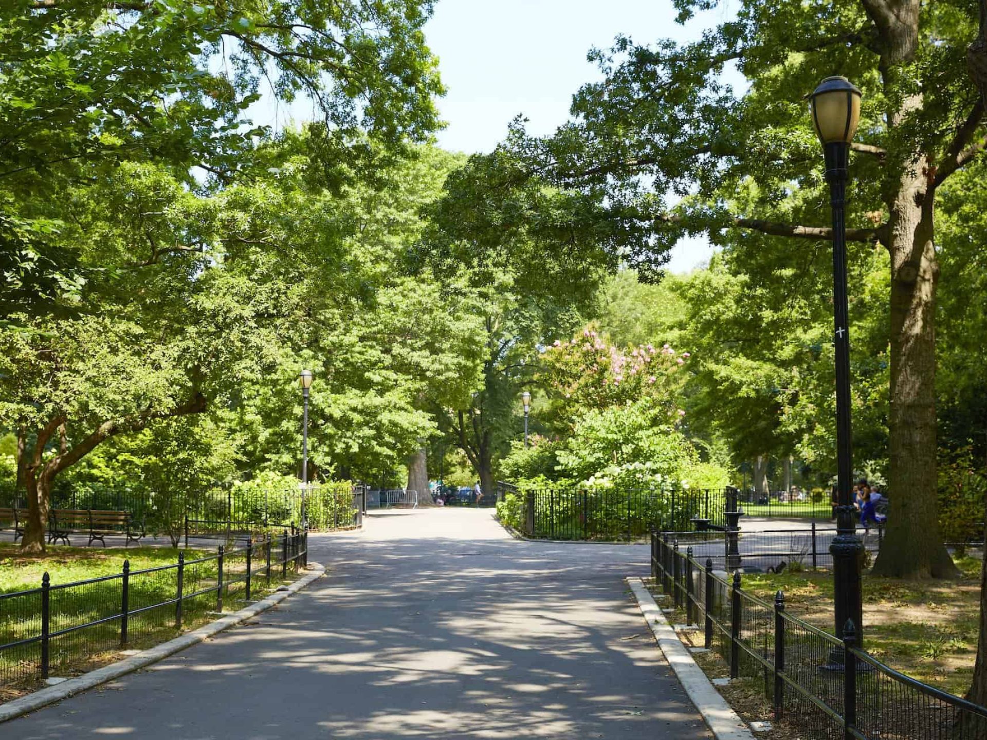 Picture inside a city park in New York. Standing on a paved path looking into the park with benches and tall green trees.